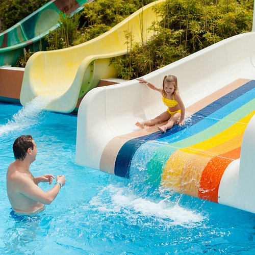 Amusement & Theme Park